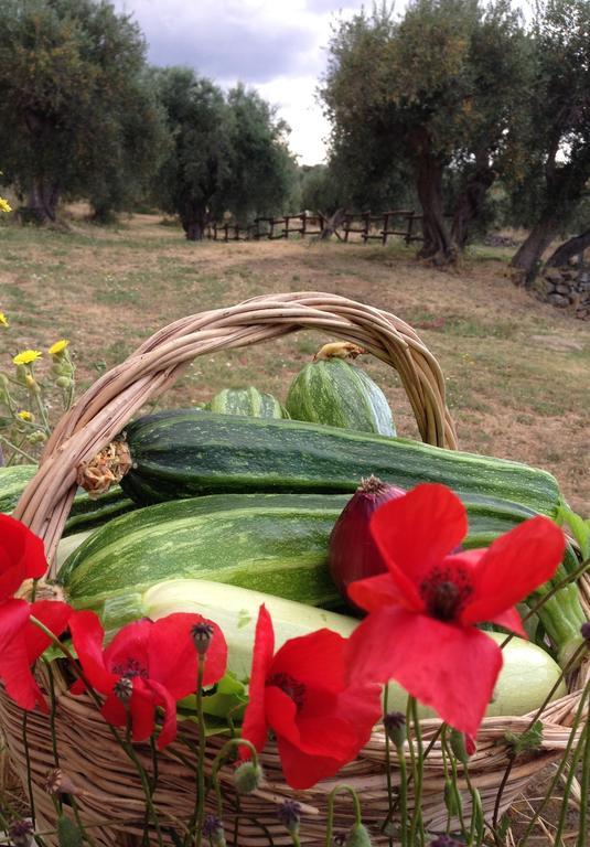 Agriturismo Prati Degli Orti Montiano  Bagian luar foto