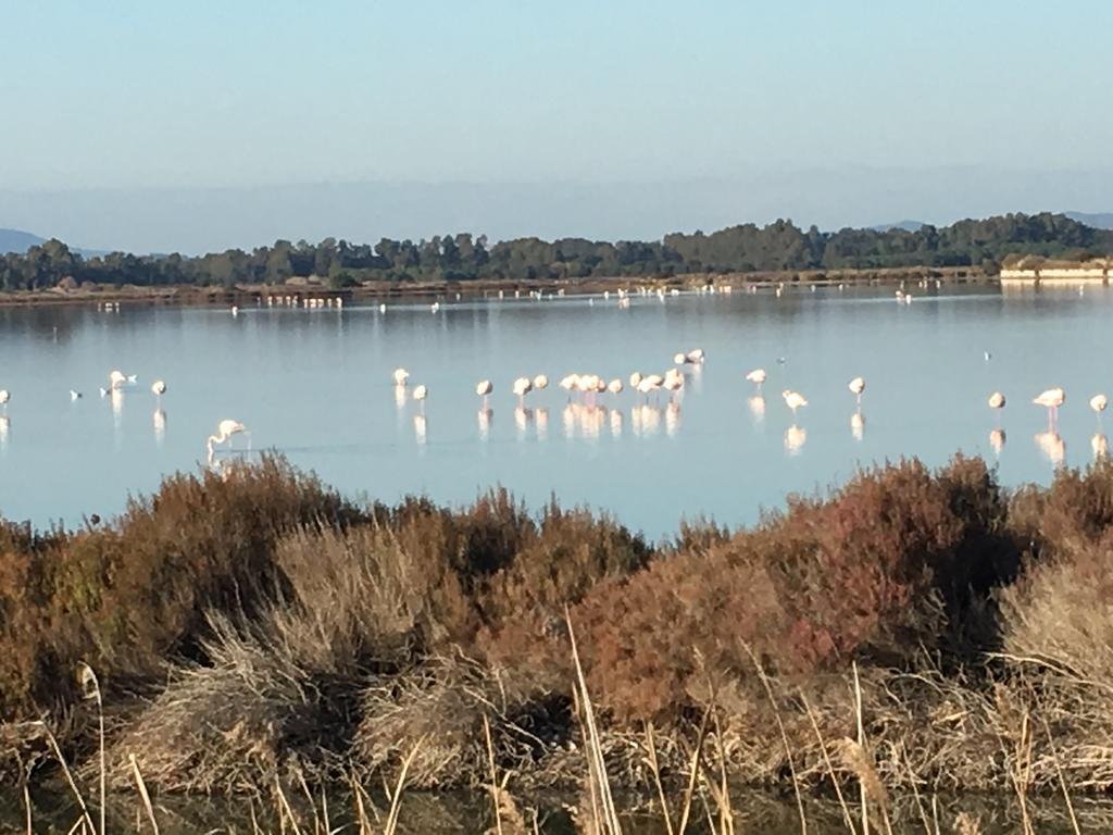 Agriturismo Prati Degli Orti Montiano  Bagian luar foto