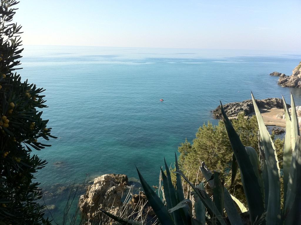 Agriturismo Prati Degli Orti Montiano  Bagian luar foto