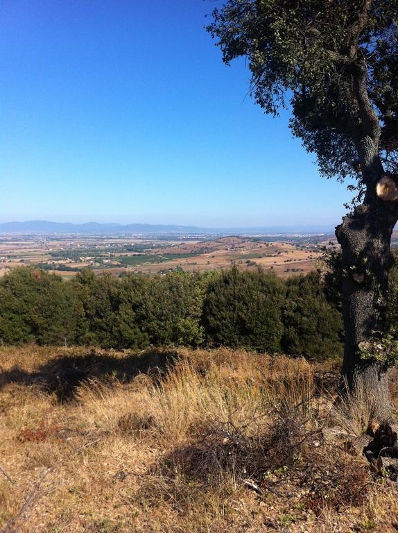 Agriturismo Prati Degli Orti Montiano  Bagian luar foto